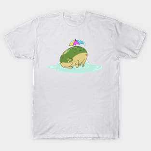 Rainy Day Frog T-Shirt